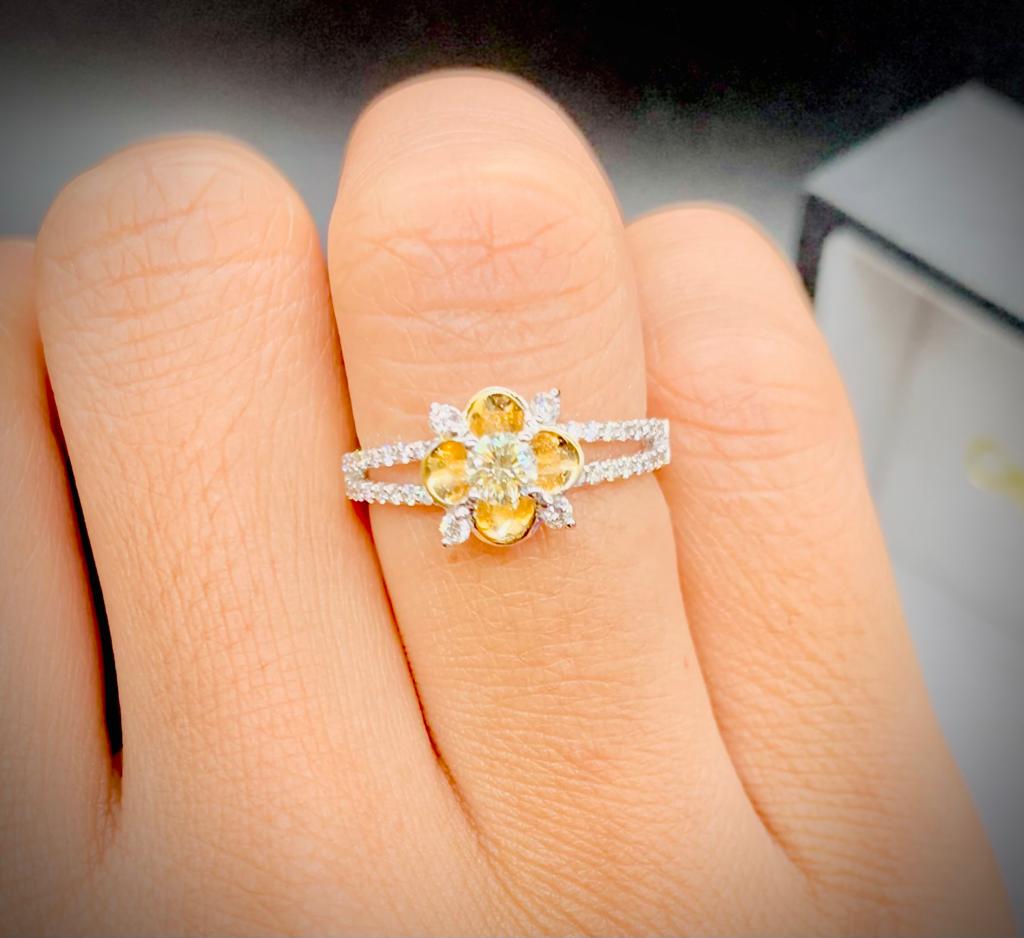 Woman Ring Solitaire In White & Yellow Gold/18K/755.(4823RU)