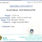 Natural Tourmaline ID  : 24618-1
